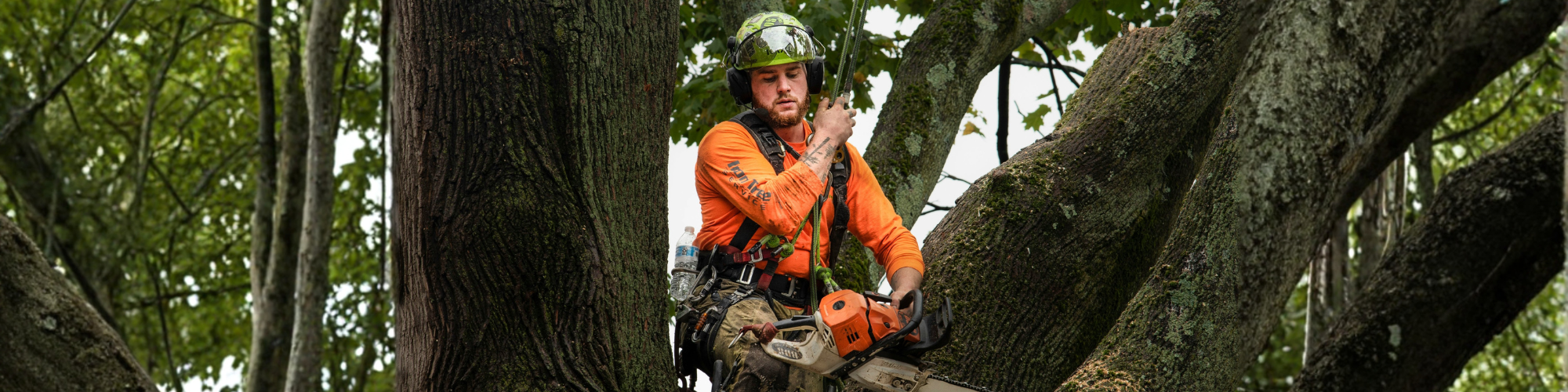 Book your apprentice sign up | Apprenticeship Support Australia